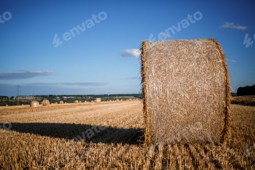 Preview: View of stubble meadows, valleys, and a couple of bales of hay. Mown field with hay. Nature