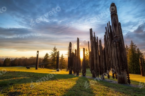 Preview: Park in Burnaby Mountain, Nature Background