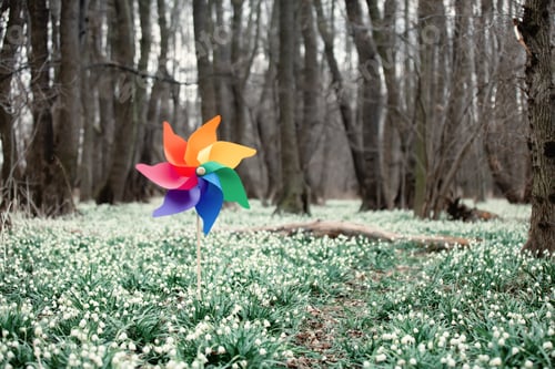 Preview: pinwheel toy on a meadow of snowdrops in a forest