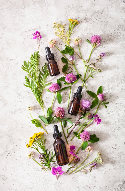 Preview: medical flowers herbs essential oils in bottles. alternative medicine. clover milfoil tansy rosebay