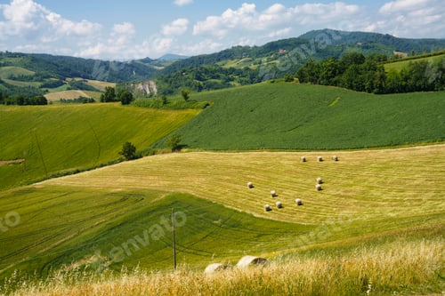 Preview: Rural landscape near Salsomaggiore and Fornovo, Parma, at springtime