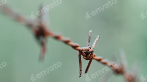 Preview: barbed rusty wire for animals custody in the countryside