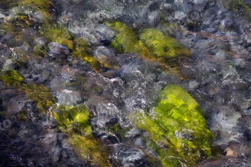 Preview: View of colorful grass in a river of natural Hot Springs at Hot Creek Geological Site