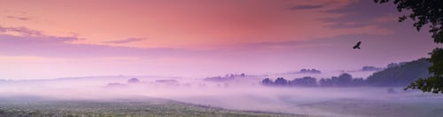 Preview: Morning breaking