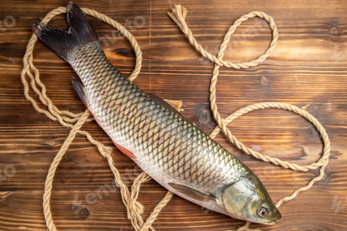 Preview: top view fresh fish with ropes on wooden table food seafood dish ocean