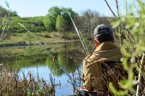 Preview: View from behind the bushes at a fisherman sitting in a chair and looking at the fishing rods.