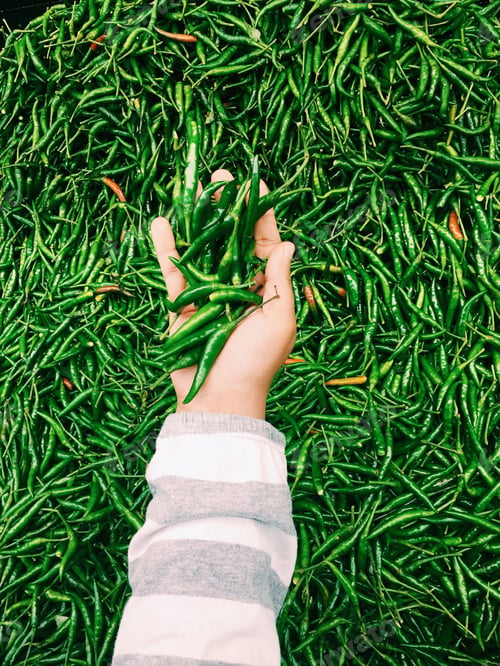 Preview: Handful hot Green Chillies to spice up your life