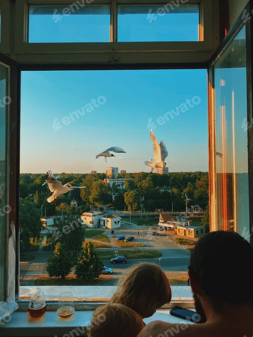 Preview: Window view