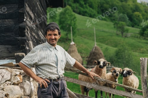 Preview: Shepherd at his countryside house from a remote village in Romania, and some of his sheeps.