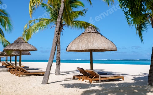 Preview: Le Morne beach Mauritius Tropical beach with palm trees and white sand blue ocean