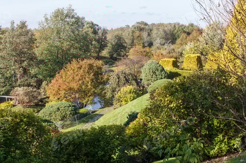 Preview: Park with green lawn, trees and trimmed bushes.