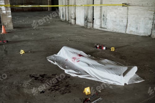 Preview: White sheet with stains of victim blood covering dead body killed by knife