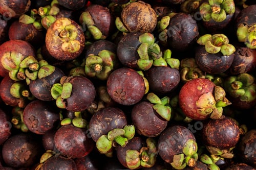 Preview: Mangosteen Fruit Background