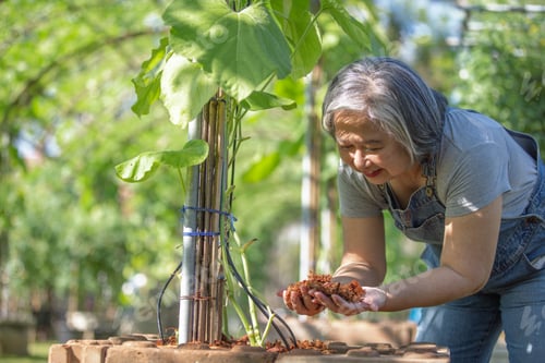 Preview: Senior woman with happiness in the garden