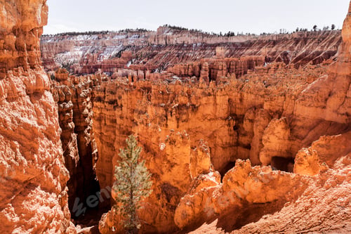 Preview: Colorful landscape of Bryce Canyon in Utah, USA