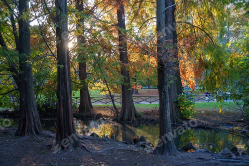 Preview: Parco Sempione, public park in Milan at fall