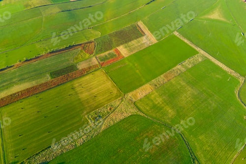 Preview: Aerial view of agricultural fields