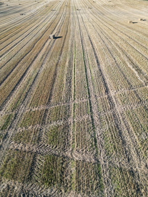 Preview: Aerial view of a harvested field with hay bales.