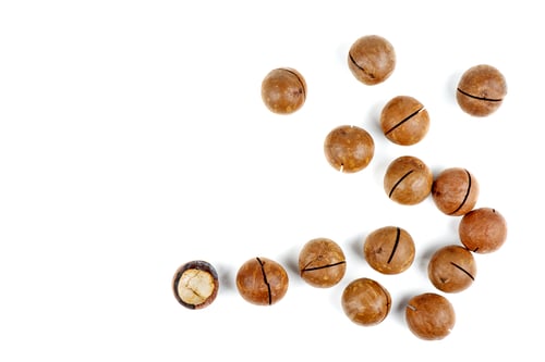 Preview: Shelled and unshelled macadamia nuts on white background