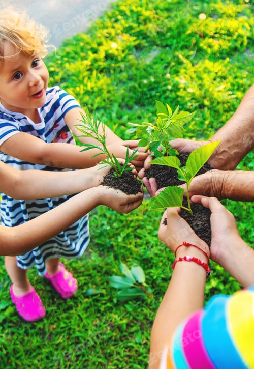 Preview: Grandmother and child hold a tree sprout in their hands. Selective focus.