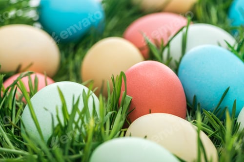 Preview: close up of easter chicken eggs on green grass