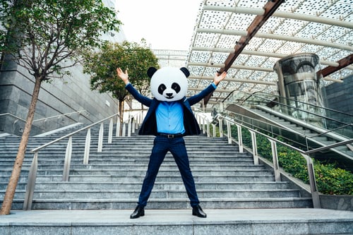 Preview: Storytelling image of a business man wearing a giant panda head