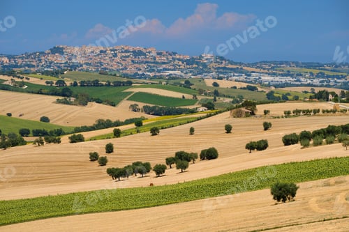 Preview: Summer landscape in Marches (Italy) near Montefano