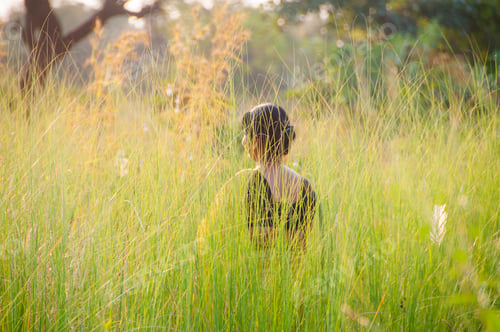 Preview: Blurred image of young woman in the meadow