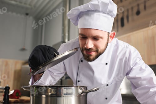 Preview: Professional cook checking dish on modern kitchen