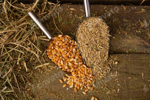 Preview: shovel spoons with horse food ingredients
