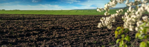 Preview: view of plowed field and spring blooming trees