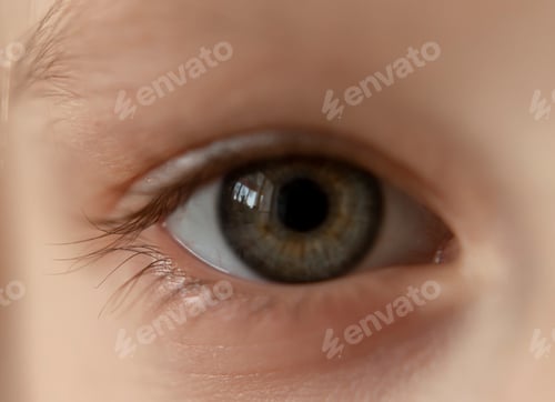 Preview: The photo is a close-up of the eye.
