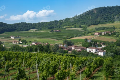 Preview: Rural landscape on Tortona hills, Piedmont, Italy