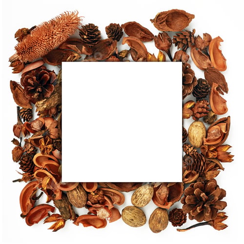 Preview: Autumn composition, collage, white paper, wood, dried flowers and buds on a white background. Autumn