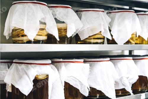 Preview: Kombucha jars with scoby on the shelves
