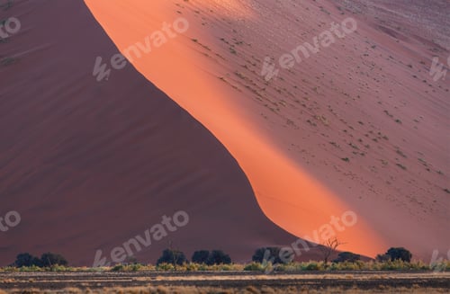 Preview: Giant sand dune, Sossusvlei National Park, Namibia