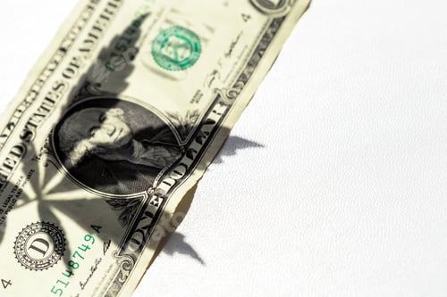 Preview: cannabis leaf and money