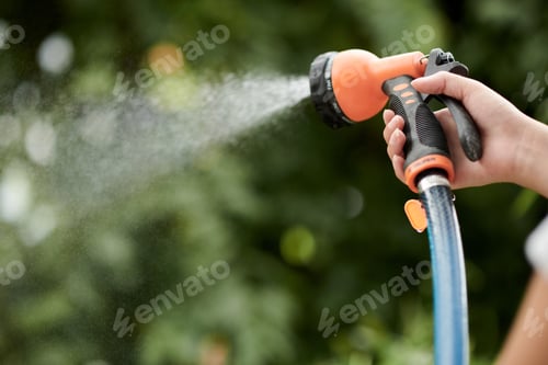 Preview: Woman Watering Flowers in Backyard