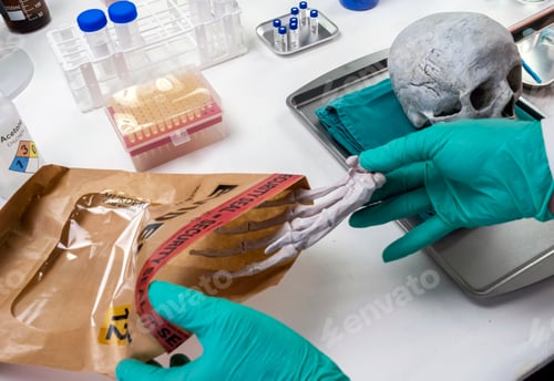 Preview: Forensic scientist removes right hand of human skeleton from evidence bag