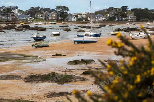 Preview: boats at low tide
