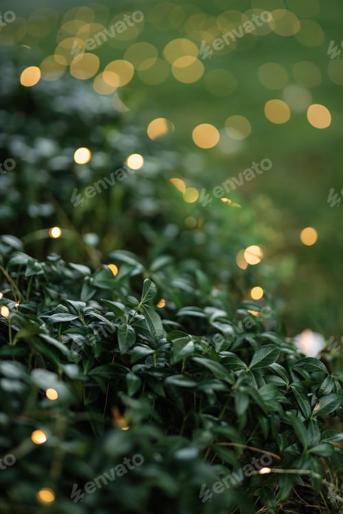 Preview: colored blurred bokeh christmas garlands