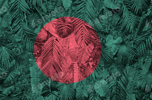 Preview: Bangladesh flag depicted on many leafs of monstera palm trees. Trendy fashionable background