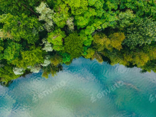 Preview: Aerial drone top down view of lake among forest with beautiful turquoise water in summer day.