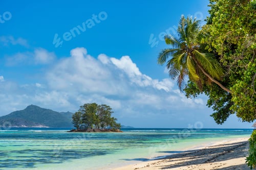 Preview: Beautiful tropical landscape with palm trees on sandy beach and turquoise sea