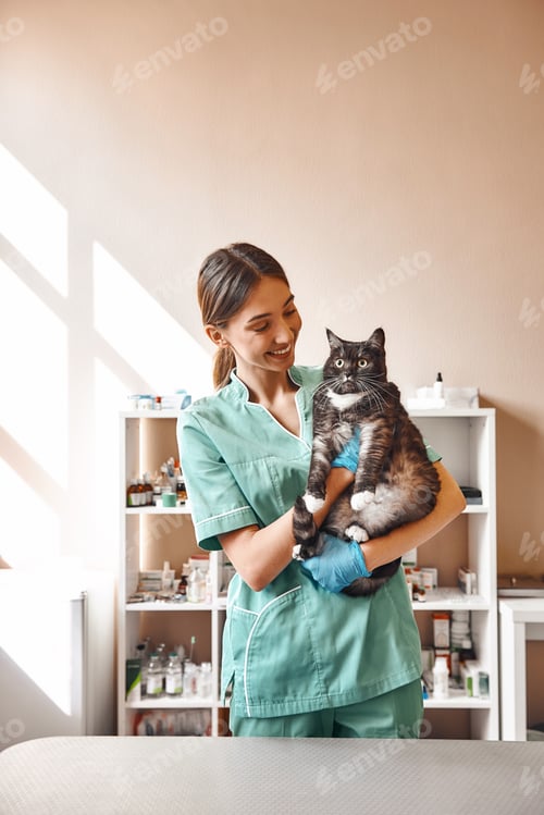 Preview: Are you scared Pleasant young female vet holding a big black cat and smiling while looking at him