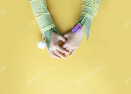 Preview: Female hands with fresh tulips. Woman hands hold spring tulips on yellow background.