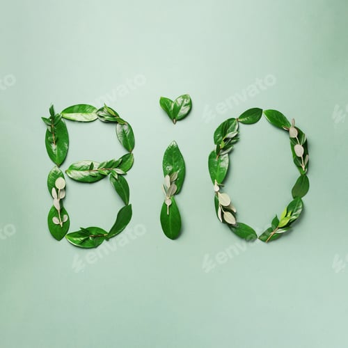 Preview: Word Bio made of leaves on green background. Top view. Flat lay. Ecology, eco friendly planet and