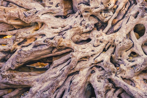 Preview: Huge Old Driftwood