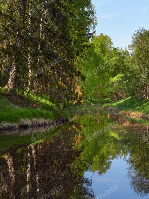 Preview: Haukkavuori Nature Reserve in Finland.