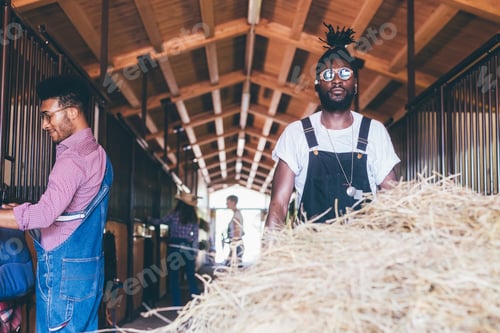 Preview: Two cool young men working in stable